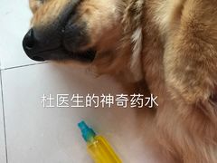 -芭比堂动物医院·24小时·眼科中心(深圳中心)