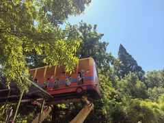 -杭州温德姆至尊豪廷大酒店