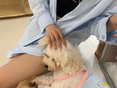 -共舞时光猫咖·狗咖(新街口店)