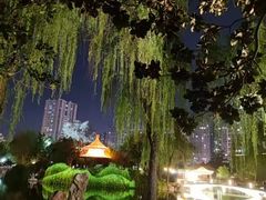 -西苑公园