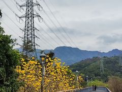 -金鸡山公园