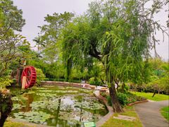 -广州莲花山旅游区
