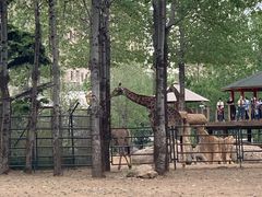 -大连森林动物园