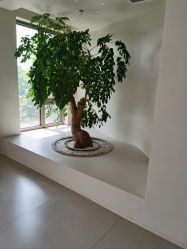 -爱月时月子会所·贝萌店