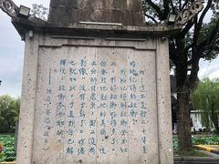 -鲁镇