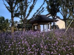 -石湖景区