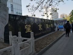 -中国中医科学院望京医院(院本部)