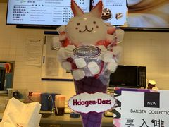 -哈根达斯(朝阳大悦城店)
