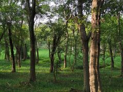 -白鹭湾湿地公园