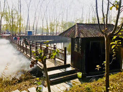 -微山湖红荷湿地景区