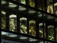 -广东中医药博物馆