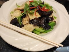 榄油捞鲜支竹水东芥-新兴·金羊座·粤菜点心(乐峰店)