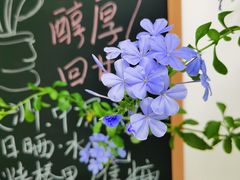 -Gigi Florist·Dk Coffee