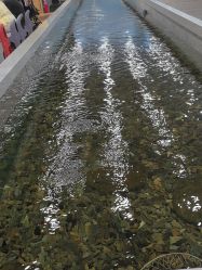 -钓虾工场·钓虾·赶海(回龙观店)