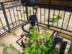 -青岛德国监狱旧址博物馆