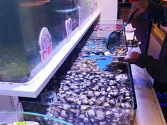 -聚盛源蒸汽海鲜火锅烤肉自助(巨川金海岸购物广场店)