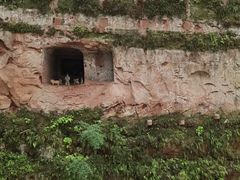 -乐山市博物馆