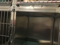 -宠颐生东兴动物医院(大悦城店)