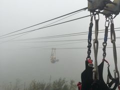 -梦幻奥陶纪景区