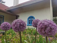 -云峰山自然风景区