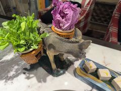 -慢丽江·云南野生菌土鸡锅(西山店)