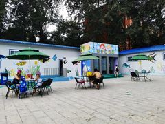 -青年湖公园水上世界