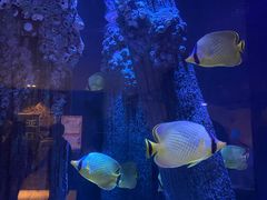 -成都浩海立方海洋公园