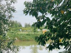 -金稼园·金平湖农家菜