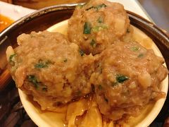 山竹牛肉丸-点点心点心专门店(旺角店)