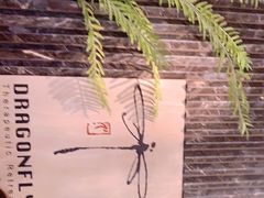 -Dragonfly悠庭·按摩Spa(静安嘉里中心店)