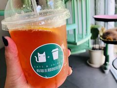-有猫主题·治愈系猫咖(曾厝垵店)