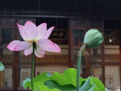 -郭庄景区