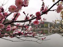 -白马涧龙池景区