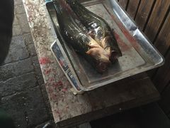 -姥家大锅台水库渔家