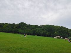 -昆山城市生态森林公园