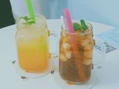 -喵的天空名猫咖啡馆·撸猫·猫舍·用品