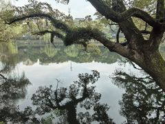 -台州府城(东湖)