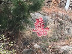 石老人观光园-石老人观光园