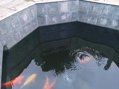 -西安市广仁寺