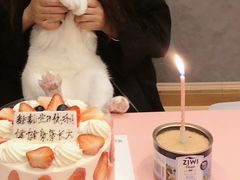 -维尔纳斯意大利手工艺生日蛋糕(滨江店)