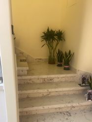 -海涛医疗美容·面部抗衰·注射美鼻