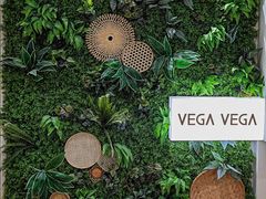 -VEGA VEGA 我行我素