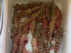 -益利大酒楼(井岸店)