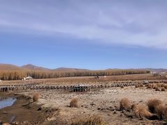 -塞罕坝国家级自然保护区