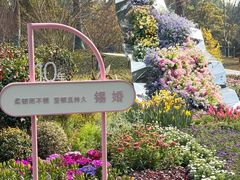 -上海鲜花港