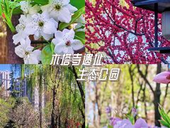 -木塔寺遗址生态公园