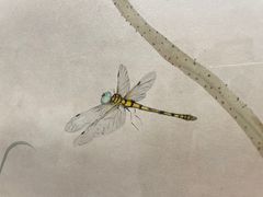 -汉虾王.小龙虾.武汉菜.粤菜(科技园店)