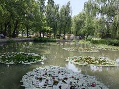 -洛阳市隋唐城遗址植物园