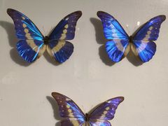 -上海昆虫博物馆