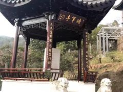 -雨花胜境